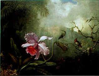 Martin Johnson Heade Cattleya Orchid Three Brazilian Hummingbirds France oil painting art